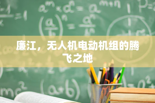 廉江，无人机电动机组的腾飞之地