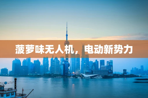 菠萝味无人机，电动新势力