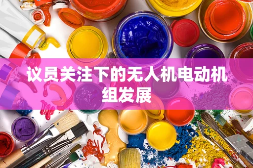 议员关注下的无人机电动机组发展