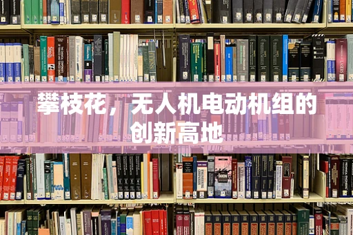 攀枝花，无人机电动机组的创新高地