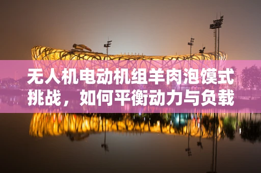 无人机电动机组羊肉泡馍式挑战，如何平衡动力与负载？