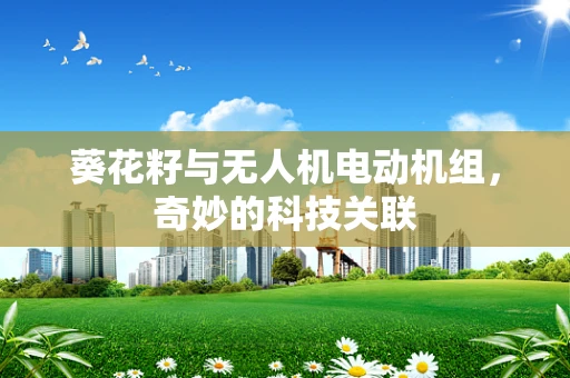 葵花籽与无人机电动机组，奇妙的科技关联
