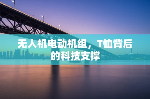 无人机电动机组，T恤背后的科技支撑