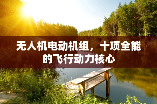 无人机电动机组，十项全能的飞行动力核心