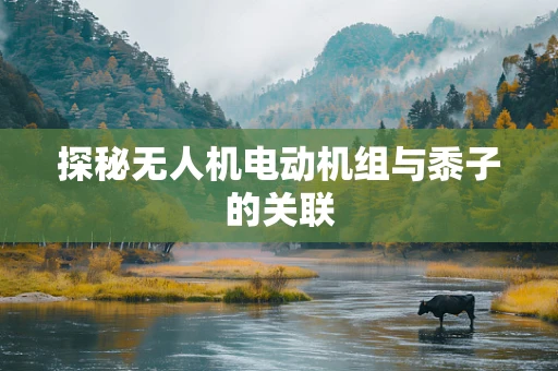 探秘无人机电动机组与黍子的关联