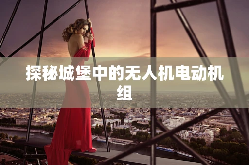探秘城堡中的无人机电动机组