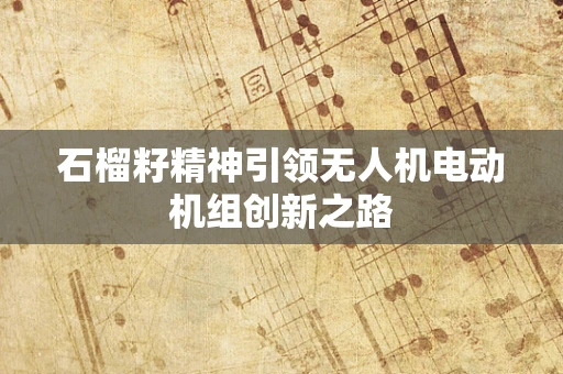 石榴籽精神引领无人机电动机组创新之路