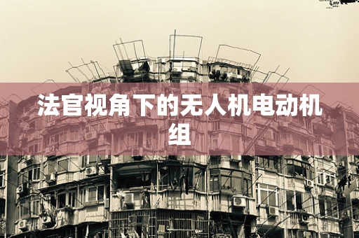 法官视角下的无人机电动机组