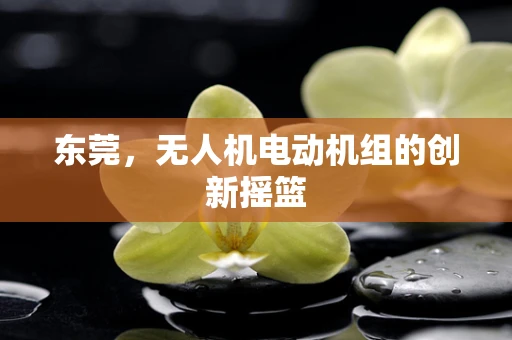 东莞，无人机电动机组的创新摇篮
