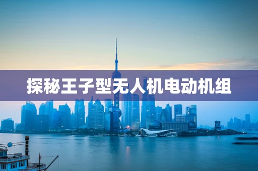 探秘王子型无人机电动机组