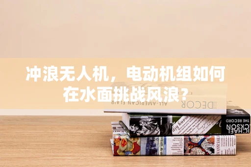 冲浪无人机，电动机组如何在水面挑战风浪？