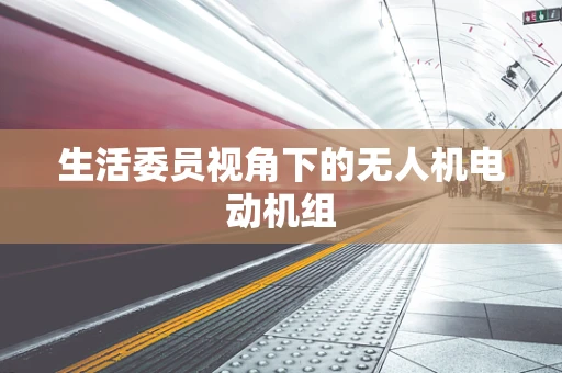 生活委员视角下的无人机电动机组