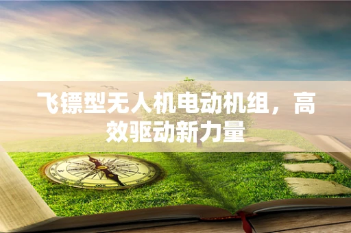 飞镖型无人机电动机组，高效驱动新力量