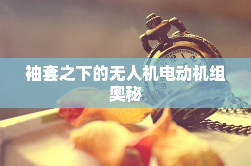 袖套之下的无人机电动机组奥秘