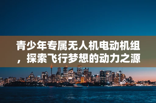 青少年专属无人机电动机组，探索飞行梦想的动力之源