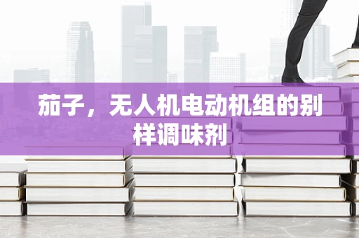 茄子，无人机电动机组的别样调味剂
