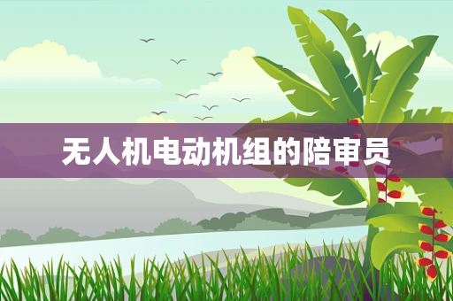 无人机电动机组的陪审员