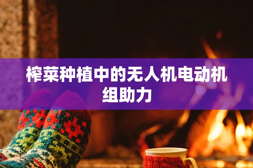 榨菜种植中的无人机电动机组助力