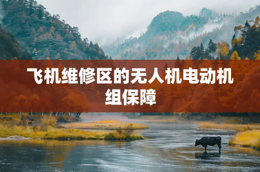 飞机维修区的无人机电动机组保障
