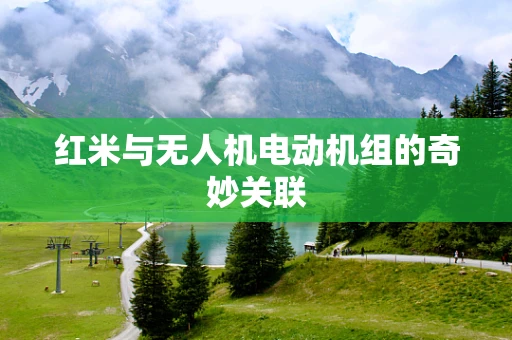 红米与无人机电动机组的奇妙关联