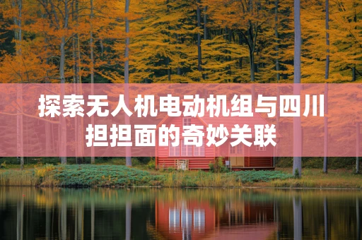 探索无人机电动机组与四川担担面的奇妙关联