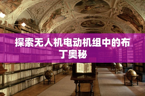 探索无人机电动机组中的布丁奥秘