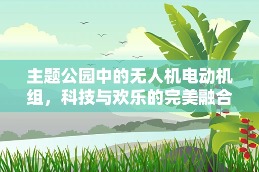 主题公园中的无人机电动机组，科技与欢乐的完美融合