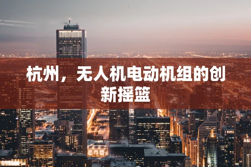 杭州，无人机电动机组的创新摇篮