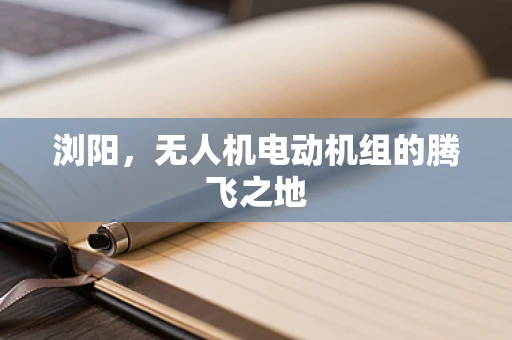 浏阳，无人机电动机组的腾飞之地