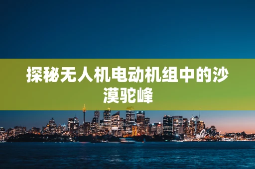 探秘无人机电动机组中的沙漠驼峰