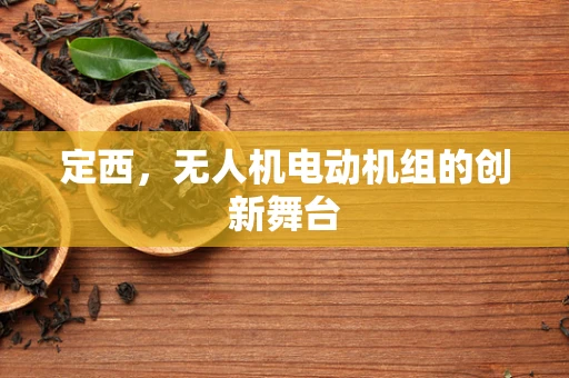 定西，无人机电动机组的创新舞台