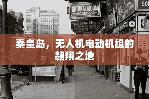 秦皇岛，无人机电动机组的翱翔之地