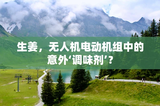 生姜，无人机电动机组中的意外‘调味剂’？