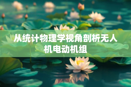 从统计物理学视角剖析无人机电动机组