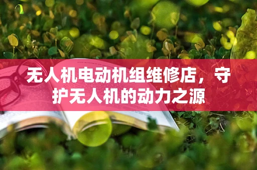 无人机电动机组维修店，守护无人机的动力之源