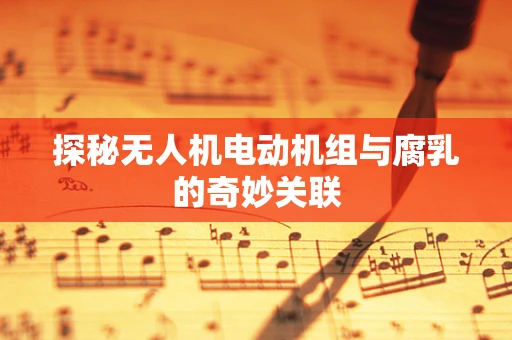 探秘无人机电动机组与腐乳的奇妙关联