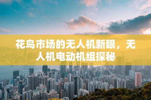 花鸟市场的无人机新眼，无人机电动机组探秘