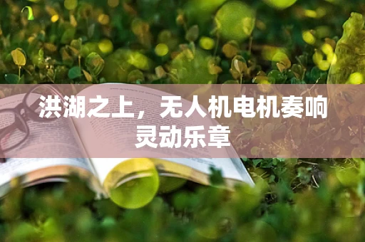 洪湖之上，无人机电机奏响灵动乐章