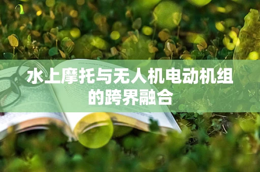 水上摩托与无人机电动机组的跨界融合