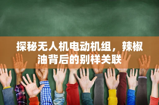 探秘无人机电动机组，辣椒油背后的别样关联