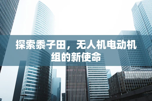 探索黍子田，无人机电动机组的新使命