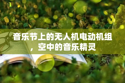 音乐节上的无人机电动机组，空中的音乐精灵