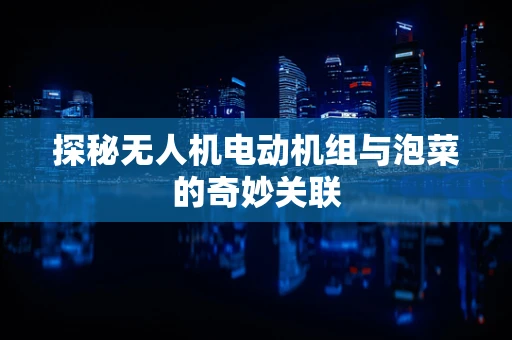 探秘无人机电动机组与泡菜的奇妙关联