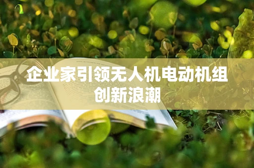 企业家引领无人机电动机组创新浪潮