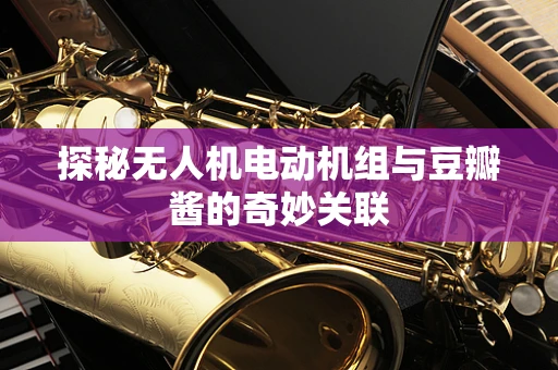 探秘无人机电动机组与豆瓣酱的奇妙关联