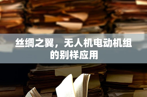 丝绸之翼，无人机电动机组的别样应用