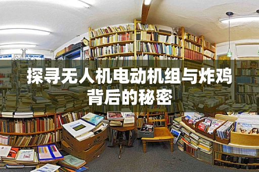 探寻无人机电动机组与炸鸡背后的秘密