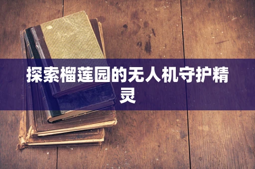 探索榴莲园的无人机守护精灵