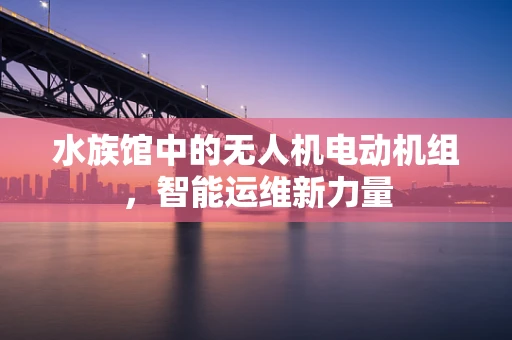 水族馆中的无人机电动机组，智能运维新力量