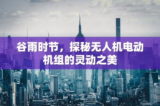 谷雨时节，探秘无人机电动机组的灵动之美